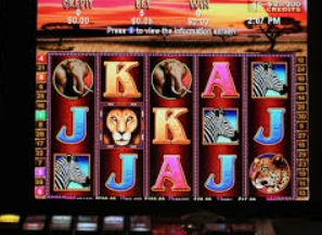 星空综合app正式版