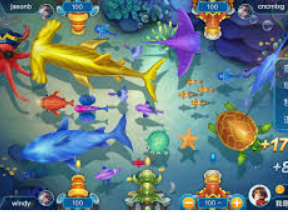 星空综合app电脑免费版