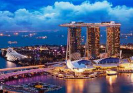 星空综合app2024最新版