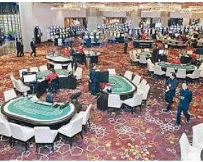 星空综合app桌面版客户端