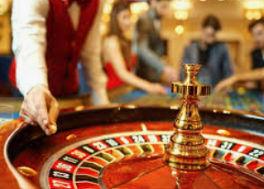 星空综合app电脑免费版